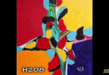 H208