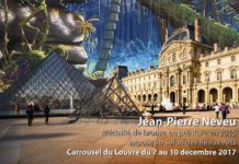 Jean-Pierre Neveu au Carrousel du Louvre