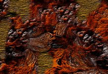 « La Nanoartographie à travers l’oeuvre de Naïma Saadane » une expo présentée du 1er mars au 31 août 2021