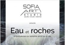 Eau et roches à la Galerie 5 du 1er au 26 juin 2021 Suzanne Joncas
