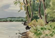 Critique du livre « The Watercolors of Harlan Hubbard »