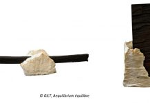 Exposition « Terres & Morta » jusqu’au 26 juin 2022