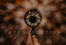 L’exposition Introspection de l’artiste ARO