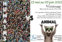 Humains vs Animal
