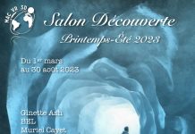 Le Salon Découverte, une nouveauté au Musée d’art contemporain VR 3D (MACVR3D)