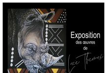 Exposition « A.F.R.I.K.A Terre-Ciel-Eau » de Lucie Théroux