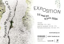 Ce qui habite les fissures, une exposition à l’Écomusée du fier monde