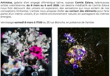 Des dessins méditatifs à la galerie Artivistas