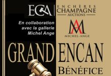 Grand Encan Bénéfice pour Vues d’Afrique