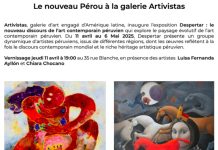 Despertar: le nouveau discours de l’art contemporain péruvien, du 11 avril au 6 mai chez Artivistas