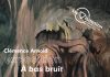 A bas bruit, une exposition de Clémence Arnold du 11 septembre au 14 novembre 2026